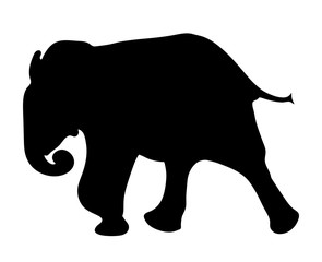 View on the silhouette of an african elephant - digitally hand drawn vector illustration