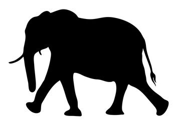 View on the silhouette of an african elephant - digitally hand drawn vector illustration