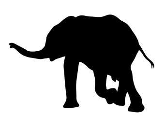 View on the silhouette of an african elephant - digitally hand drawn vector illustration