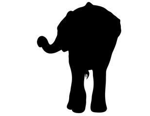 View on the silhouette of an african elephant - digitally hand drawn vector illustration