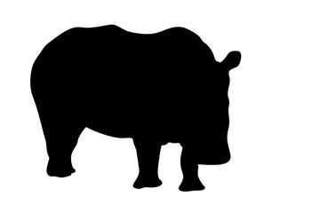 View on the silhouettes of a rhinoceros - digitally hand drawn vector illustraion