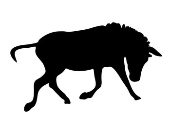 View on the silhouette of a moving zebra - digitally hand drawn vector illustraion