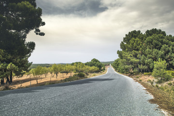 Road in the mountain
