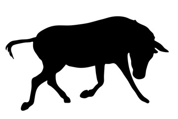 View on the silhouette of a moving zebra - digitally hand drawn vector illustraion