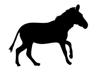 Fototapeta na wymiar View on the silhouette of a Zebra - digitally hand drawn vector illustraion