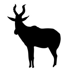 View on the silhouette of a red hartebeest - digitally hand drawn vector illustraion