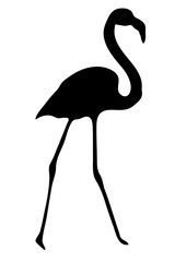 View on the silhouette of a flamingo - digitally hand drawn vector illustraion