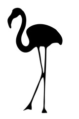 View on the silhouette of a flamingo - digitally hand drawn vector illustraion