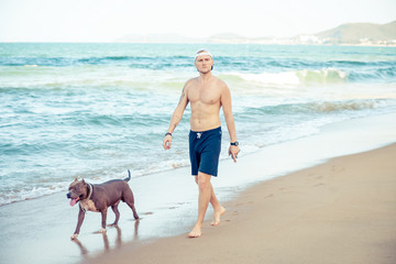 Young man with dog american pit bull terrier walking on seashore