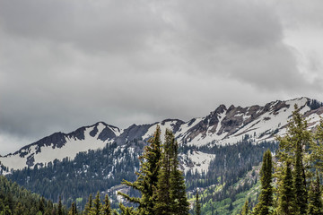 Naklejka premium Mountain