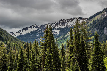 Obraz premium Mountain