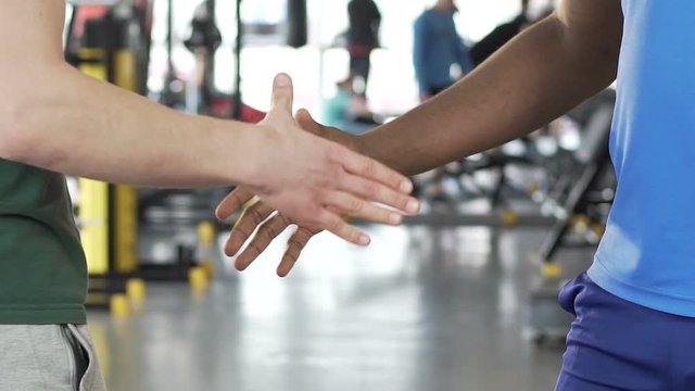 Coach firmly shaking hands to his partner after successful training session
