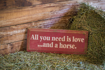 Horse quote