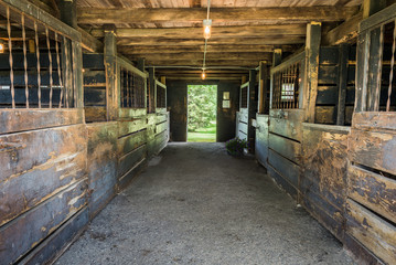 Stables 5