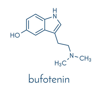 Bufotenin molecule. Tryptamine present in several psychedelic toads. Skeletal formula.
