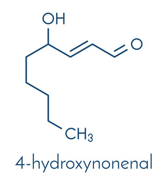4-Hydroxynonenal (HNE) molecule. Metabolite produced by lipid peroxidation of polyunsaturated omega-6 fatty acids. Skeletal formula.