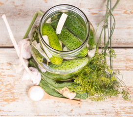 Brined pickles in a jar, with all the ingredients for making them (garlic, dill and horseradish)