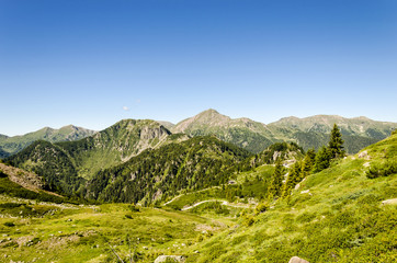 Naklejka premium alps view during summer, scenic landscape of italian alps in summertime