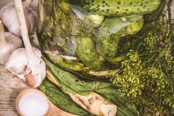 Brined pickles in a jar, with all the ingredients for making them (garlic, dill and horseradish)