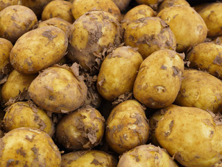 A box of white young potatoes sold on the market.