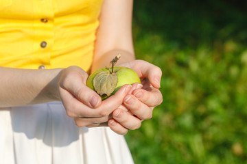 Young girl holding basket of apples in the garden