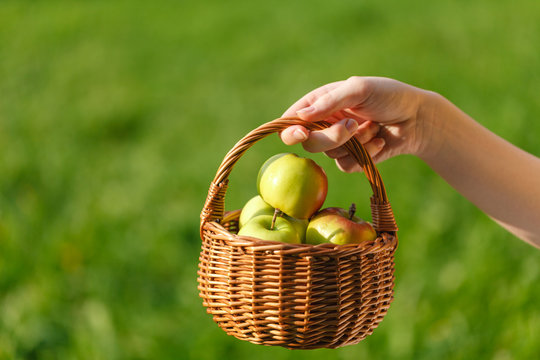 Girl holding basket of apples