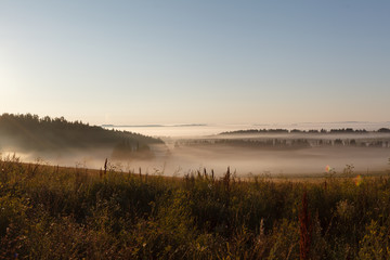 Fototapeta premium Fog in the field