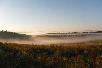 Fototapeta na wymiar ground with morning mist