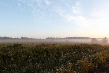 Morning fog on a new harvested field