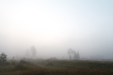 Fototapeta premium Magical morning mist foliage on a beautiful countryside scenery landscape