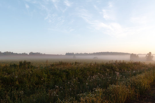 Morning fog on a new harvested field © Andrey Cherkasov