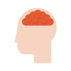 human head profile sideview with brain inside icon image vector illustration design 