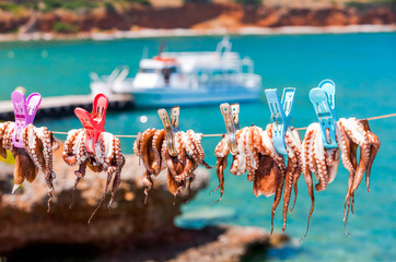 Drying the octopus in the sun in the seaside village of Plaka on the island of Crete