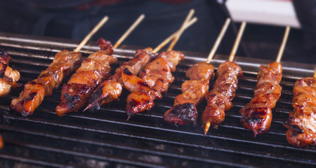 roasted chicken sate sticks lined up a hot barbecue