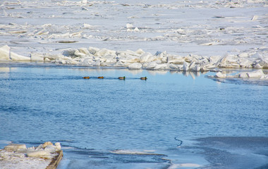 The ice on the river Neva.