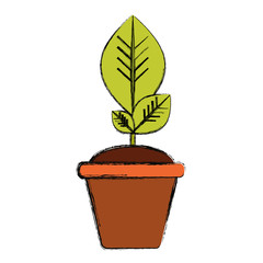Plant in pot icon vector illustration graphic design