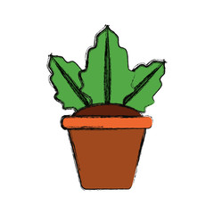 Plant in pot icon vector illustration graphic design