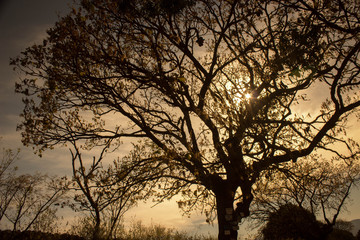 Paisaje de talpa