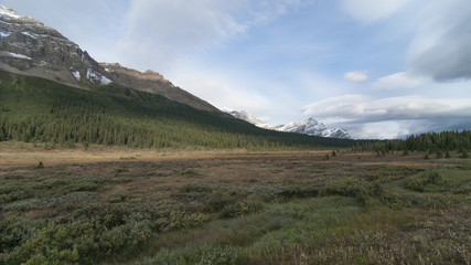 Fototapeta na wymiar A valley along the Icefields Parkway in Banff National Park
