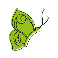 butterfly insect icon image vector illustration design  green color