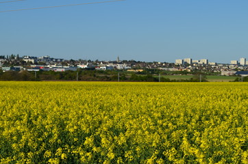 La campagne à la ville (Caen - Normandie)