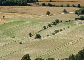 Obraz premium Early summer fields