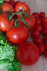 Large and small red tomatoes along with lettuce leaves.