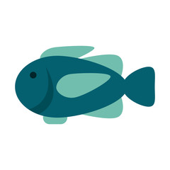 cartoon fish icon image vector illustration design 