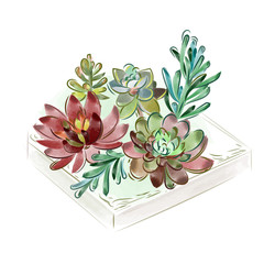 Vector illustration. Watercolor collection of succulents for design, hand-drawn.