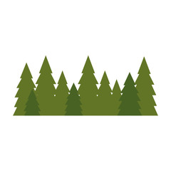 Tree pines isolated icon vector illustration graphic design