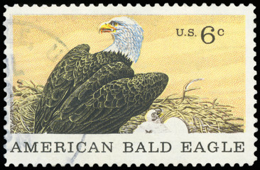 US Postage Stamp - American Bald Eagle