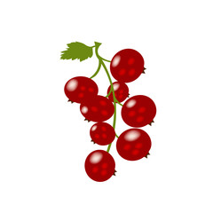 Ripe berries. Red currant. Bowl of black berries isolated on white background. Red currant closeup. Vector illustration.
