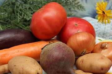 Vintage of different vegetables in the home kitchen