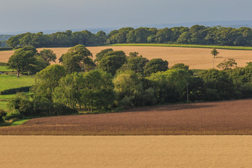 Fototapeta na wymiar Sussex Landscape